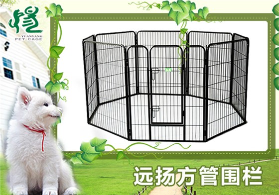 寵物籠批發