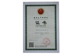 安全生產(chǎn)證書-遠揚