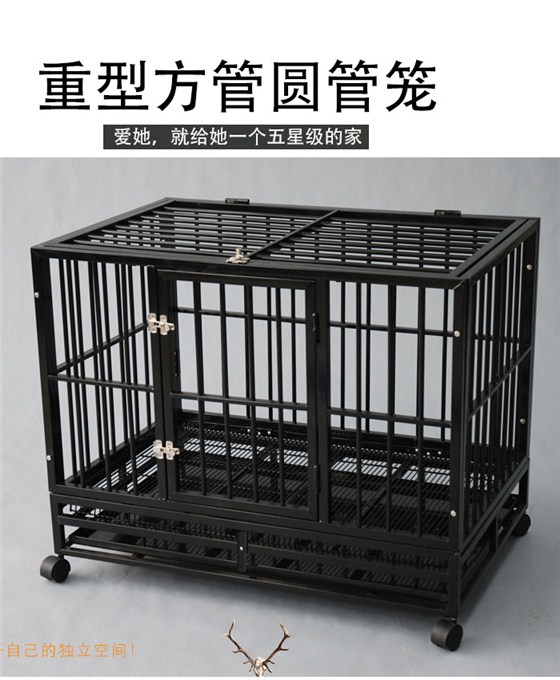 大狗籠批發