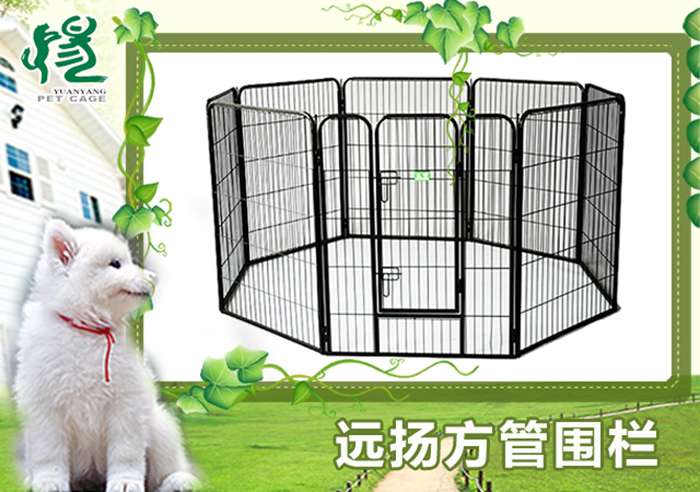 寵物籠批發